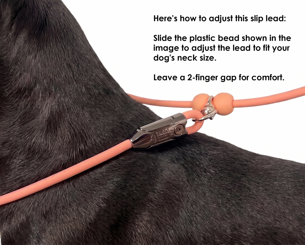 Waterproof Slip Lead - Black