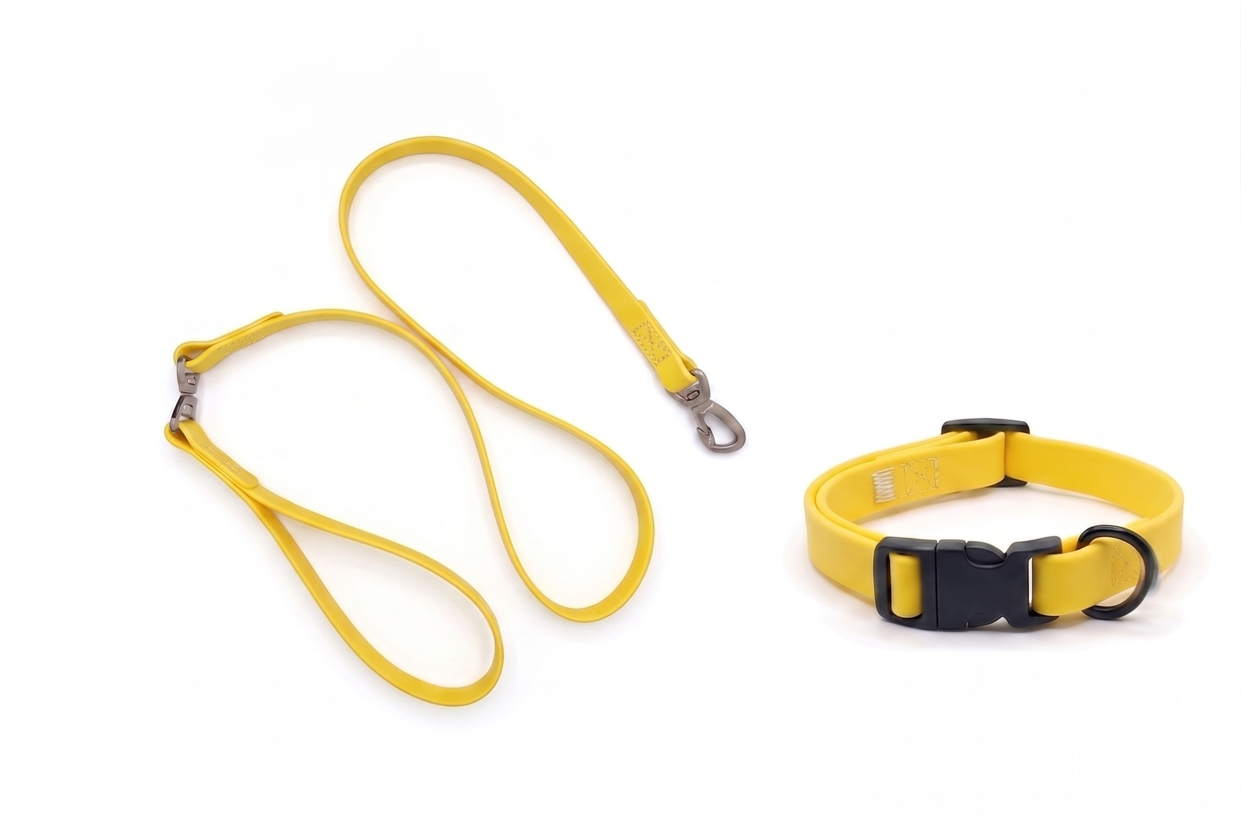 Waterproof Durable Dog Lead & Collar Set (Small)